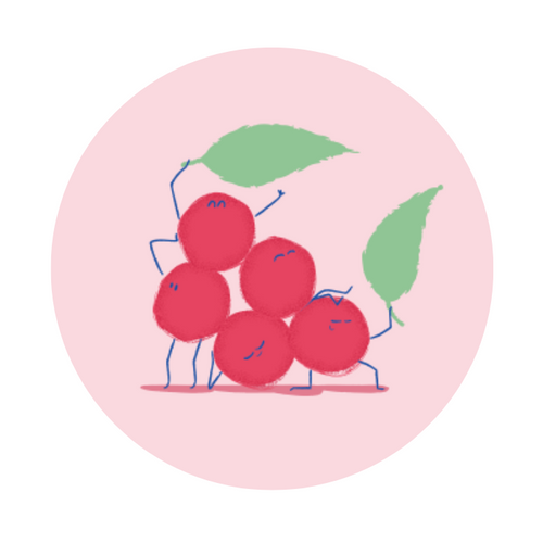 schisandra-ingredient_cf187925-92f0-4dac-8e16-5a5985c927fb - Mustela Australia - 1