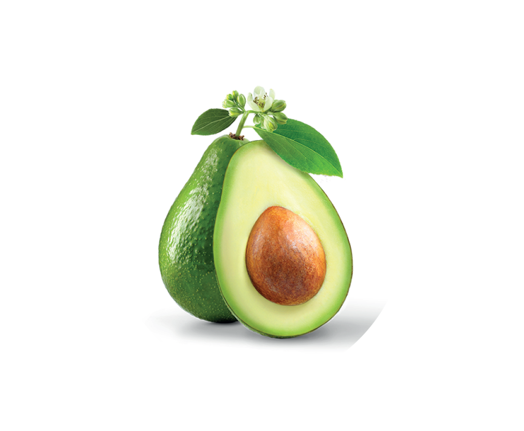 picto avocado
