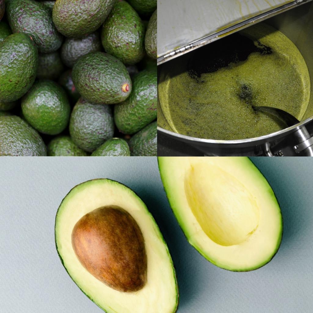 Mustela-ingredient-avocado-perseose