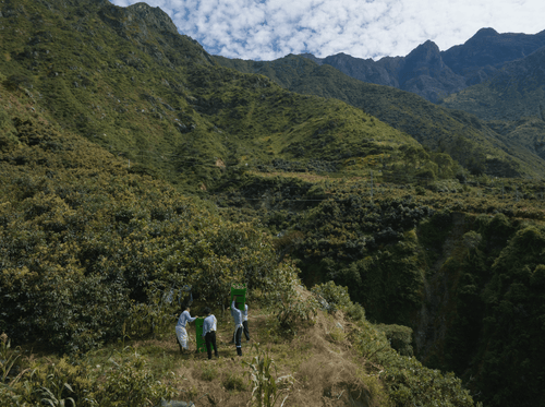 2023_MULTI_PURPOSE_BALM_V2_PERU_CAMPAIGN_PICTURES_HARVEST_47 - Mustela Australia - 1