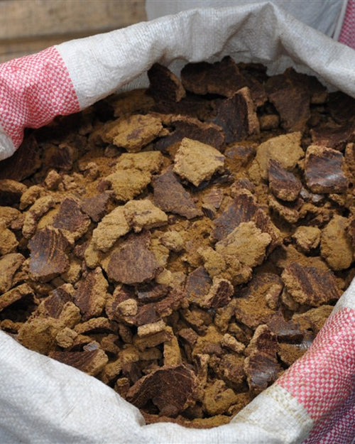 avocados-cakes - Mustela Australia - 1