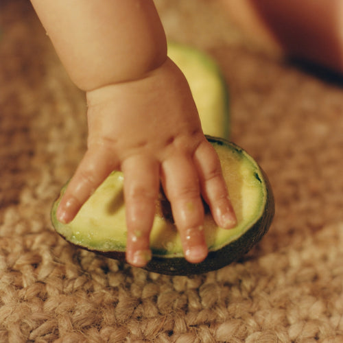 baby-hand-holding-avocado - Mustela Australia - 1