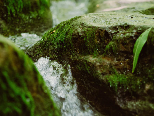 energy-consumption - Mustela Australia - 1