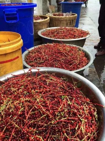 schisandra-process2 - Mustela Australia - 1