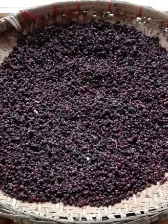 schisandra-process3 - Mustela Australia - 1